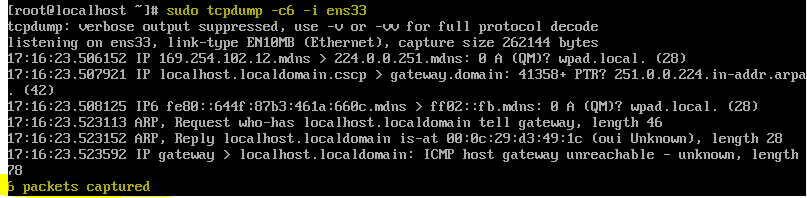 capturing limited number of IP packets using tcpdump
