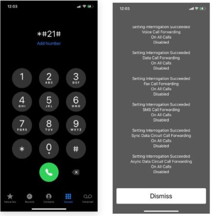 21 Code Best Hidden iPhone Secret Codes - Techplayon